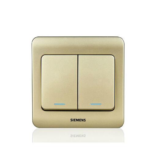 西門子遠景金棕 二位單控大蹺板開關(guān) 帶熒光指示